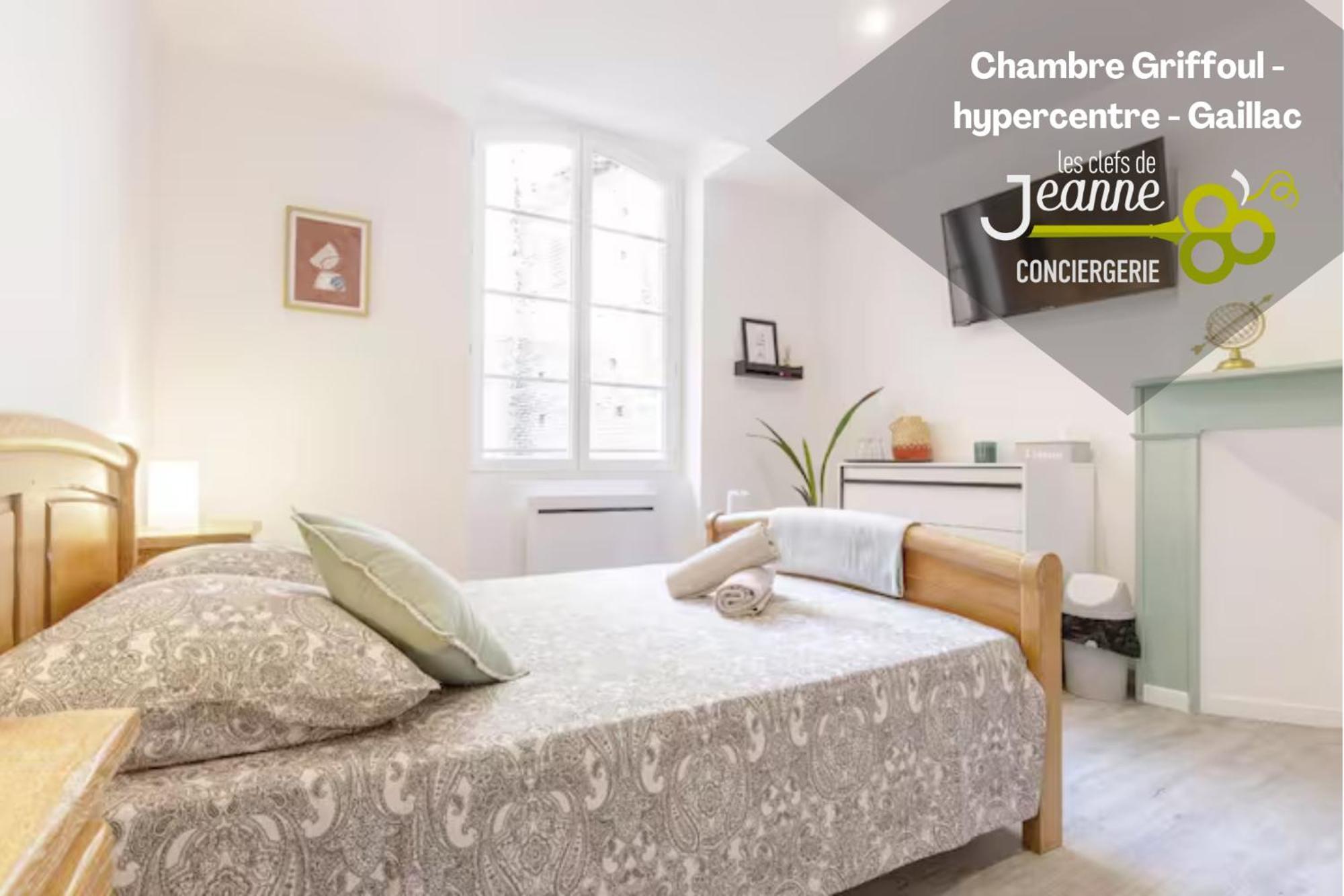 Chambre Griffoul - Hypercentre - Gaillac Exterior photo